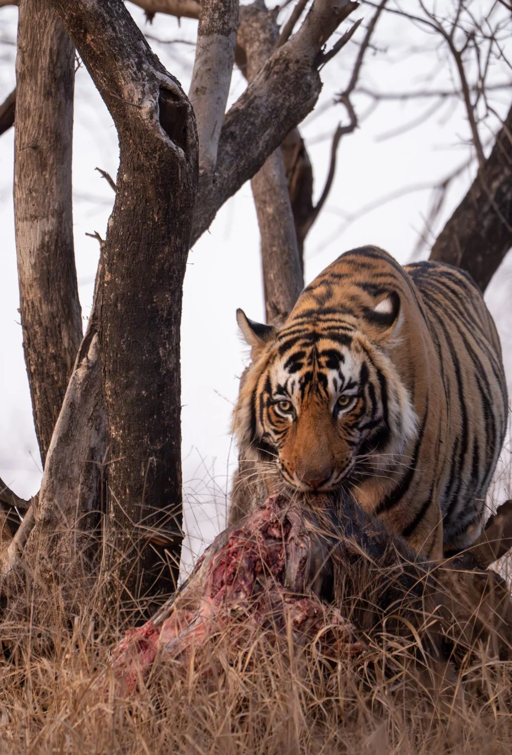 Meredith  (160 of 206).jpg