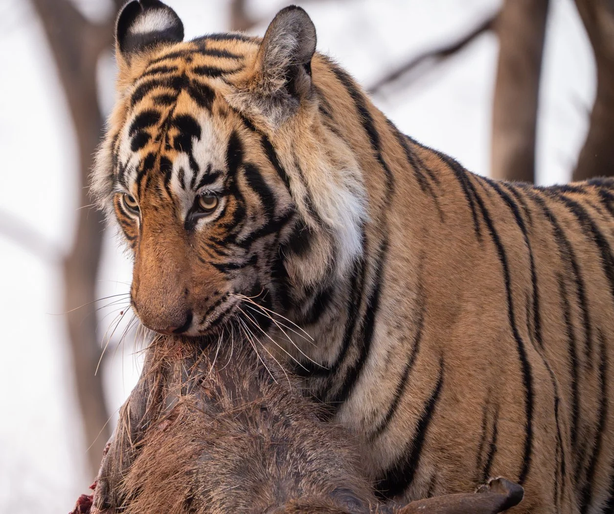 Meredith  (161 of 206).jpg