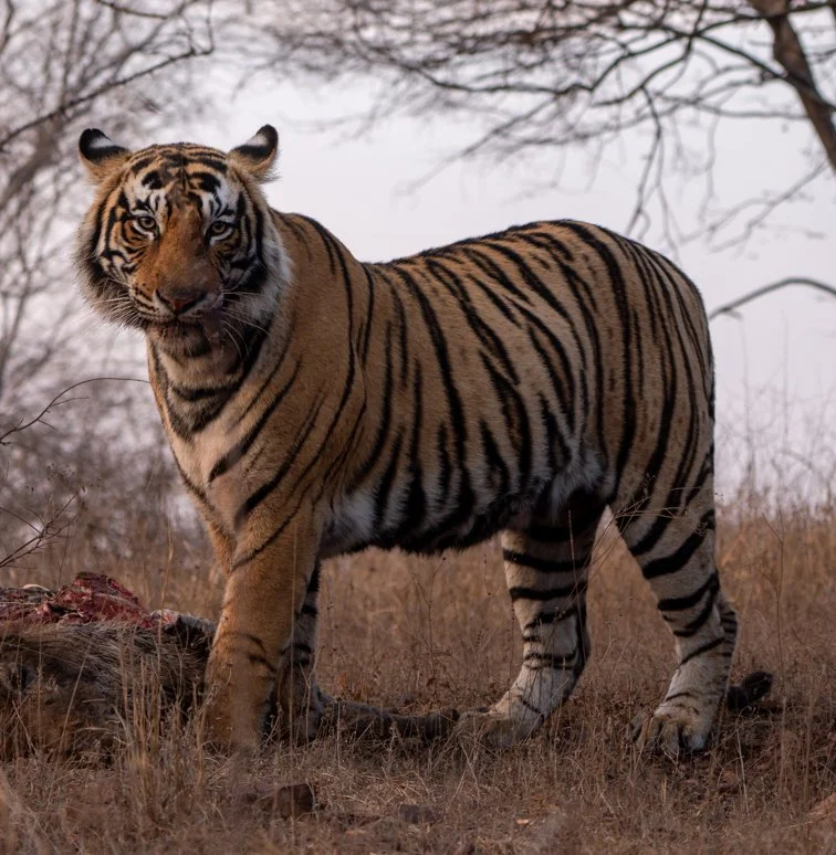 Meredith  (163 of 206).jpg