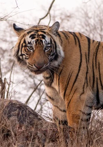 Meredith  (165 of 206).jpg