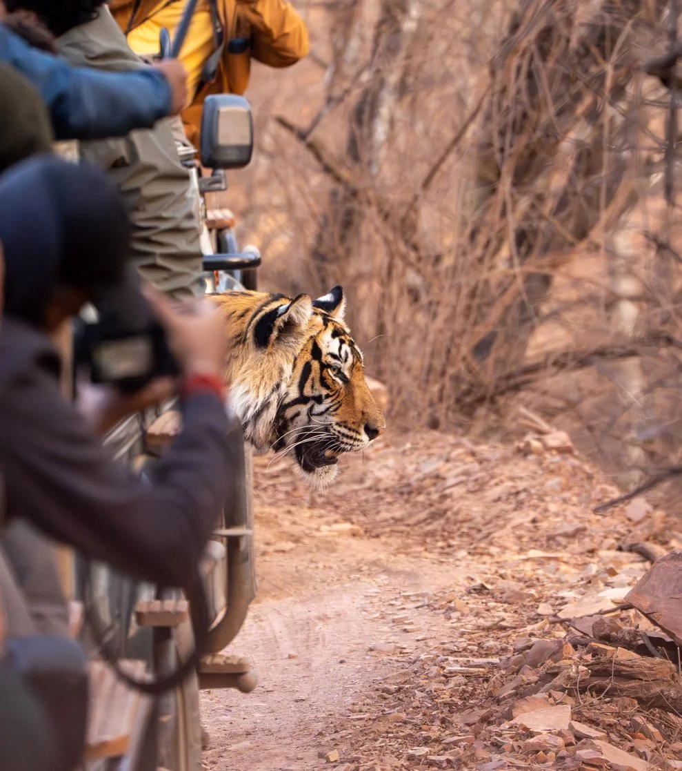 Meredith  (166 of 206).jpg