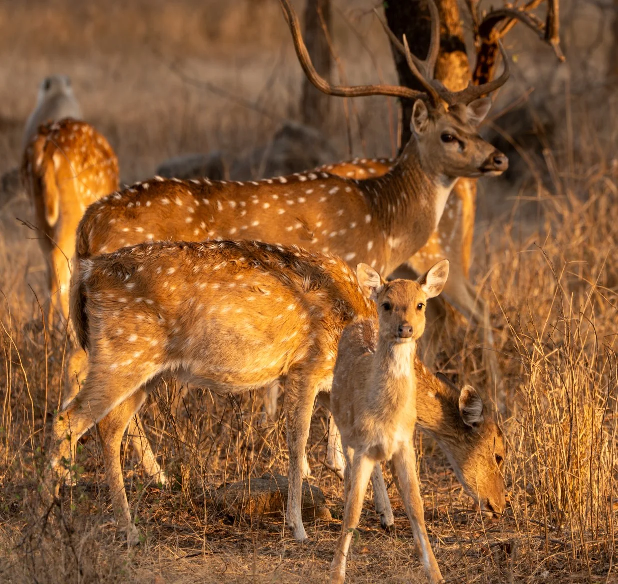 Meredith  (167 of 206).jpg