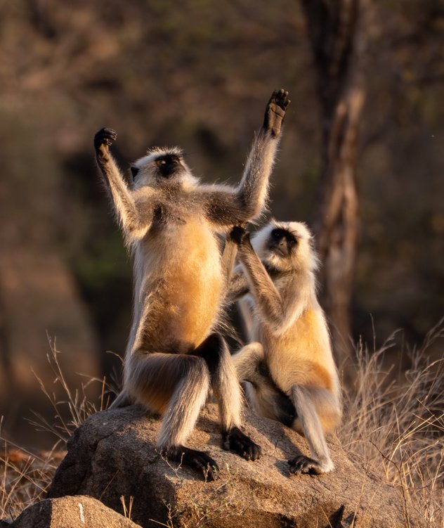 Meredith  (169 of 206).jpg