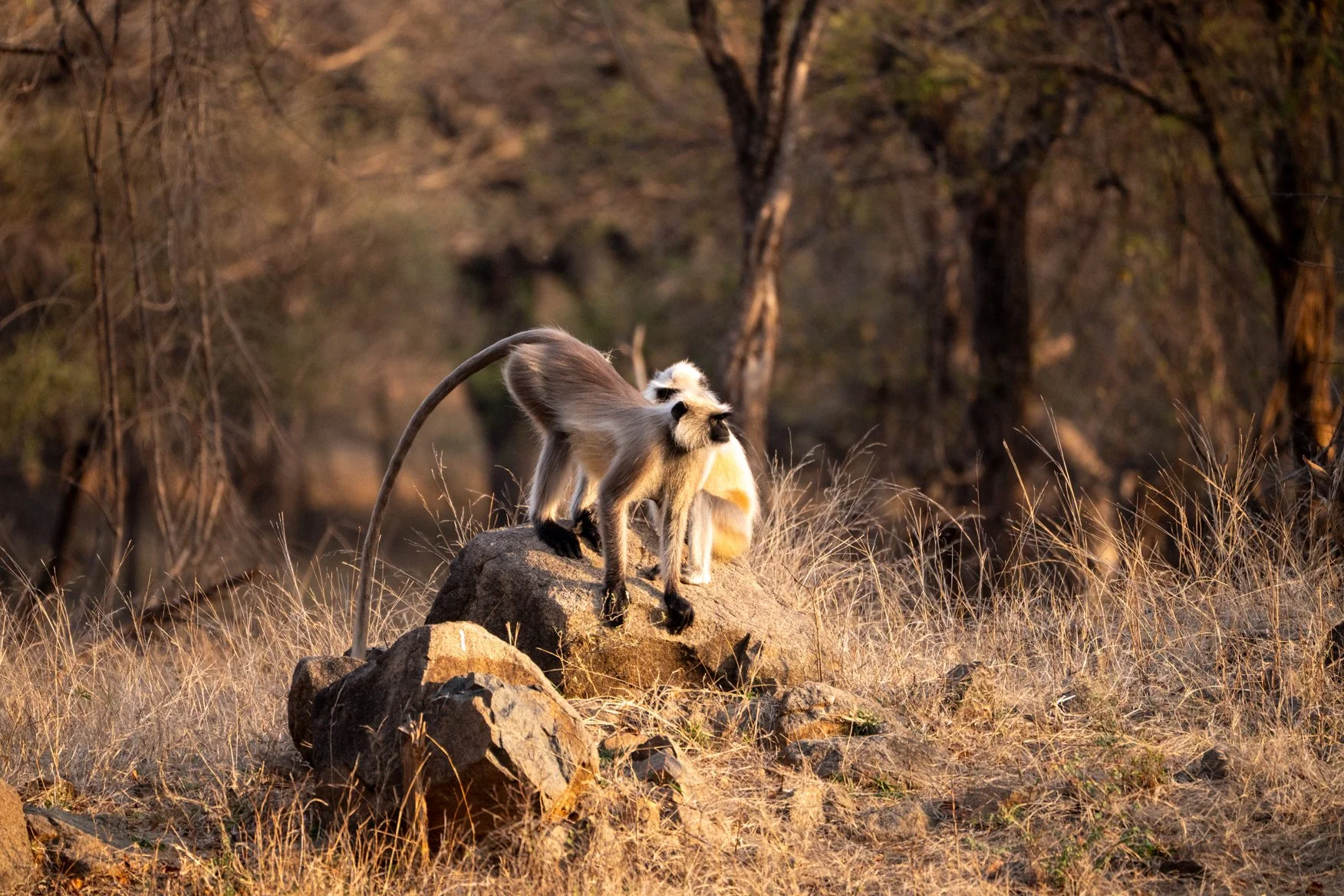 Meredith  (168 of 206).jpg