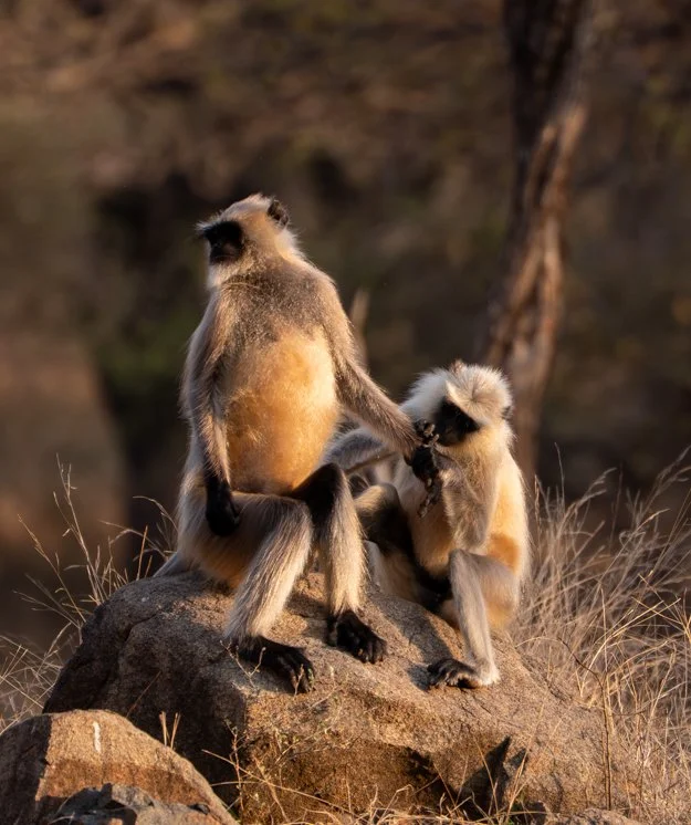 Meredith  (170 of 206).jpg