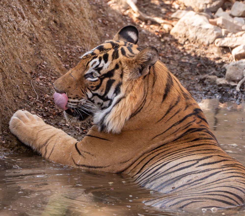 Meredith  (172 of 206).jpg