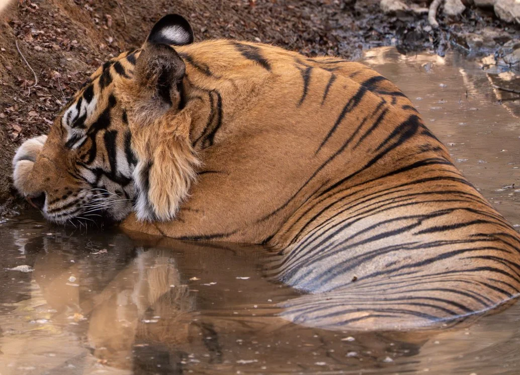 Meredith  (173 of 206).jpg