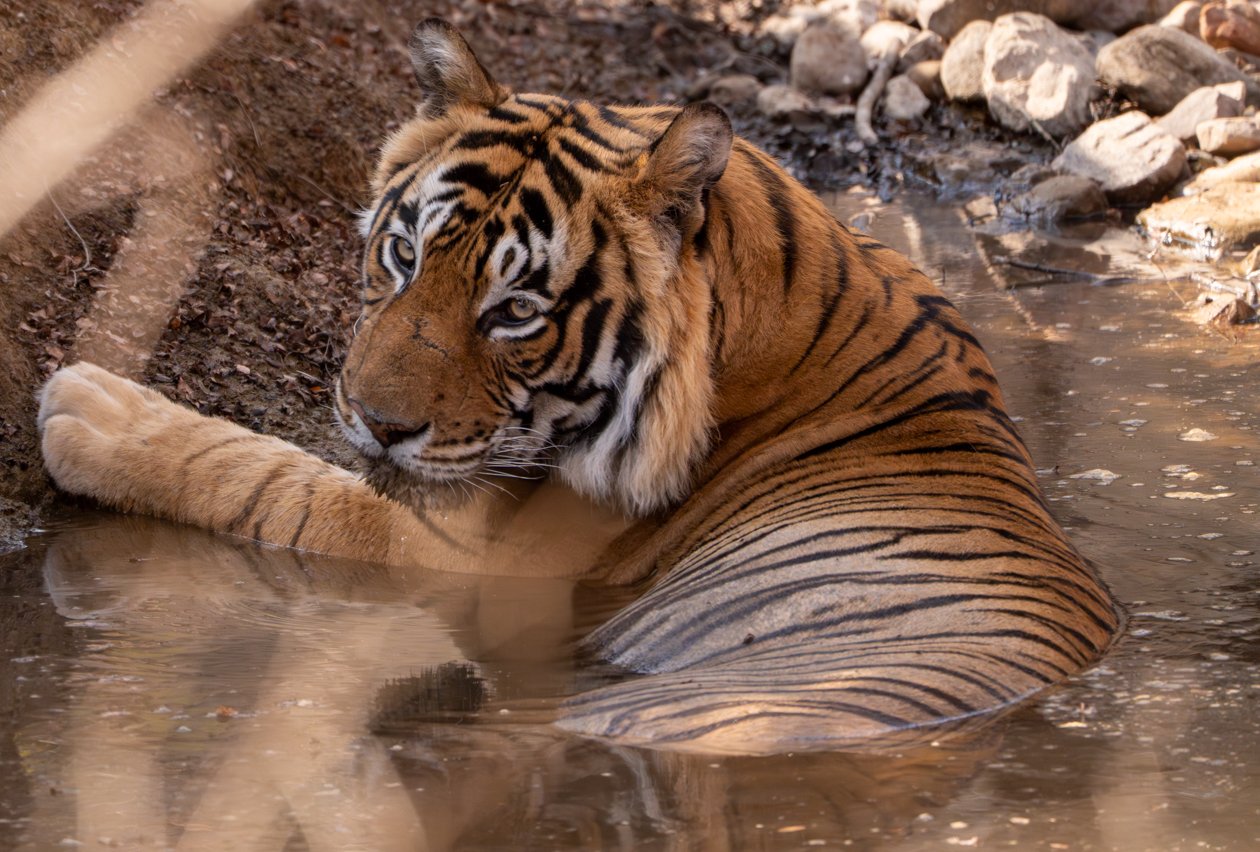 Meredith  (174 of 206).jpg