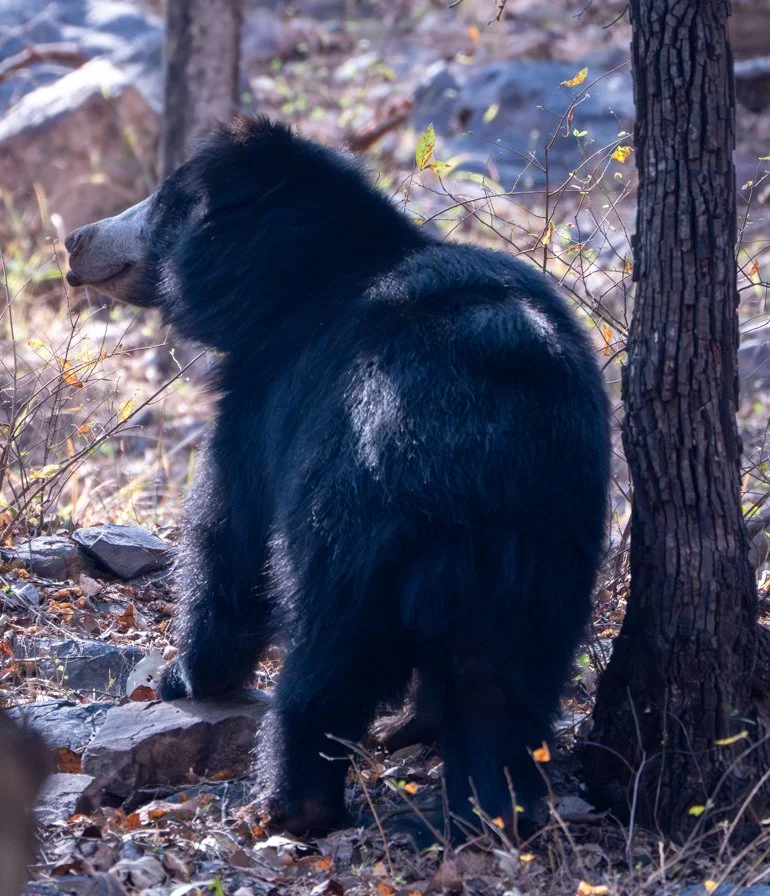 Meredith  (176 of 206).jpg