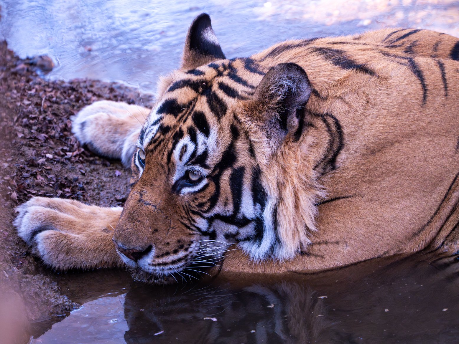 Meredith  (175 of 206).jpg