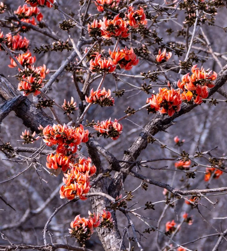 Meredith  (177 of 206).jpg