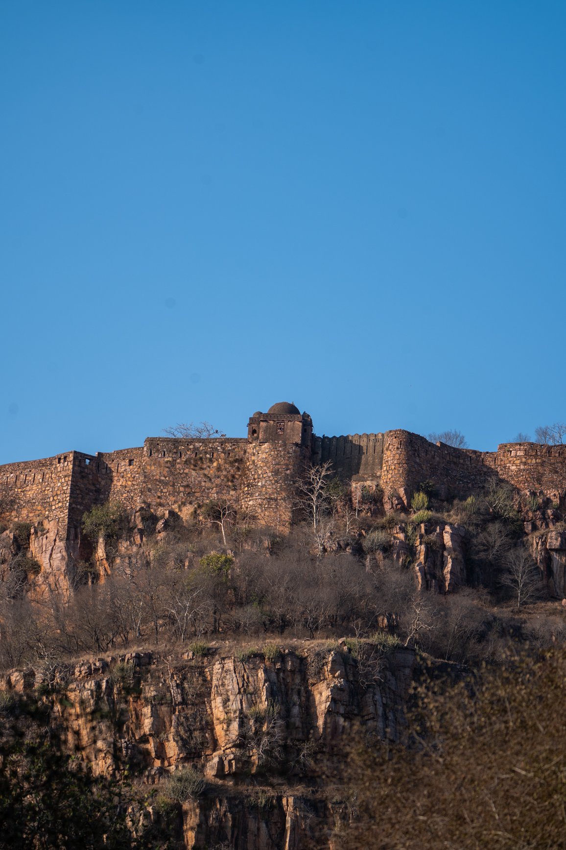 Meredith  (179 of 206).jpg