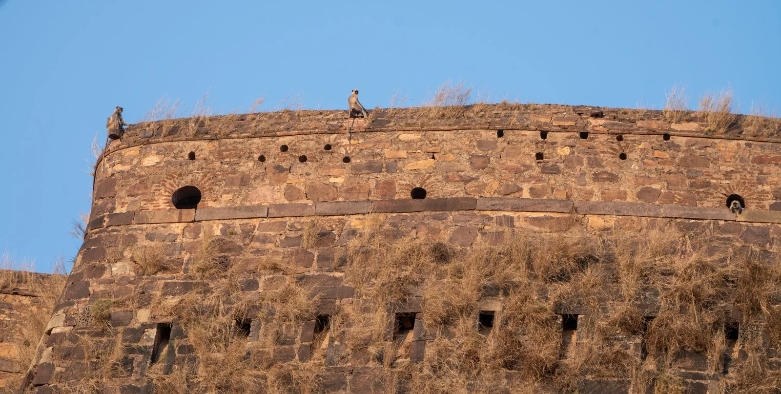 Meredith  (180 of 206).jpg