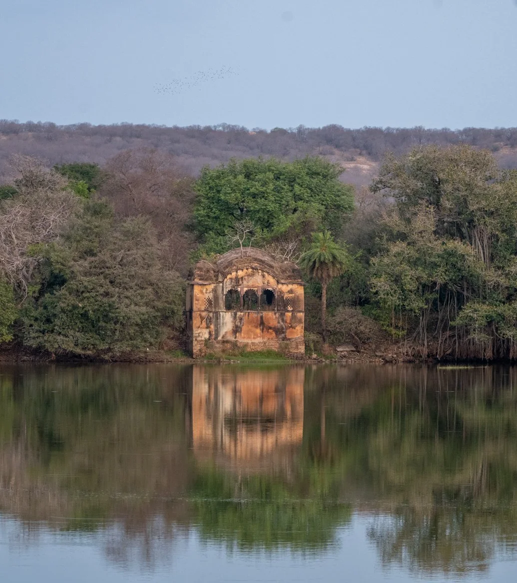 Meredith  (181 of 206).jpg