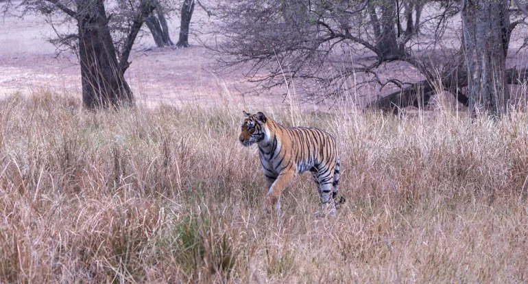 Meredith  (183 of 206).jpg