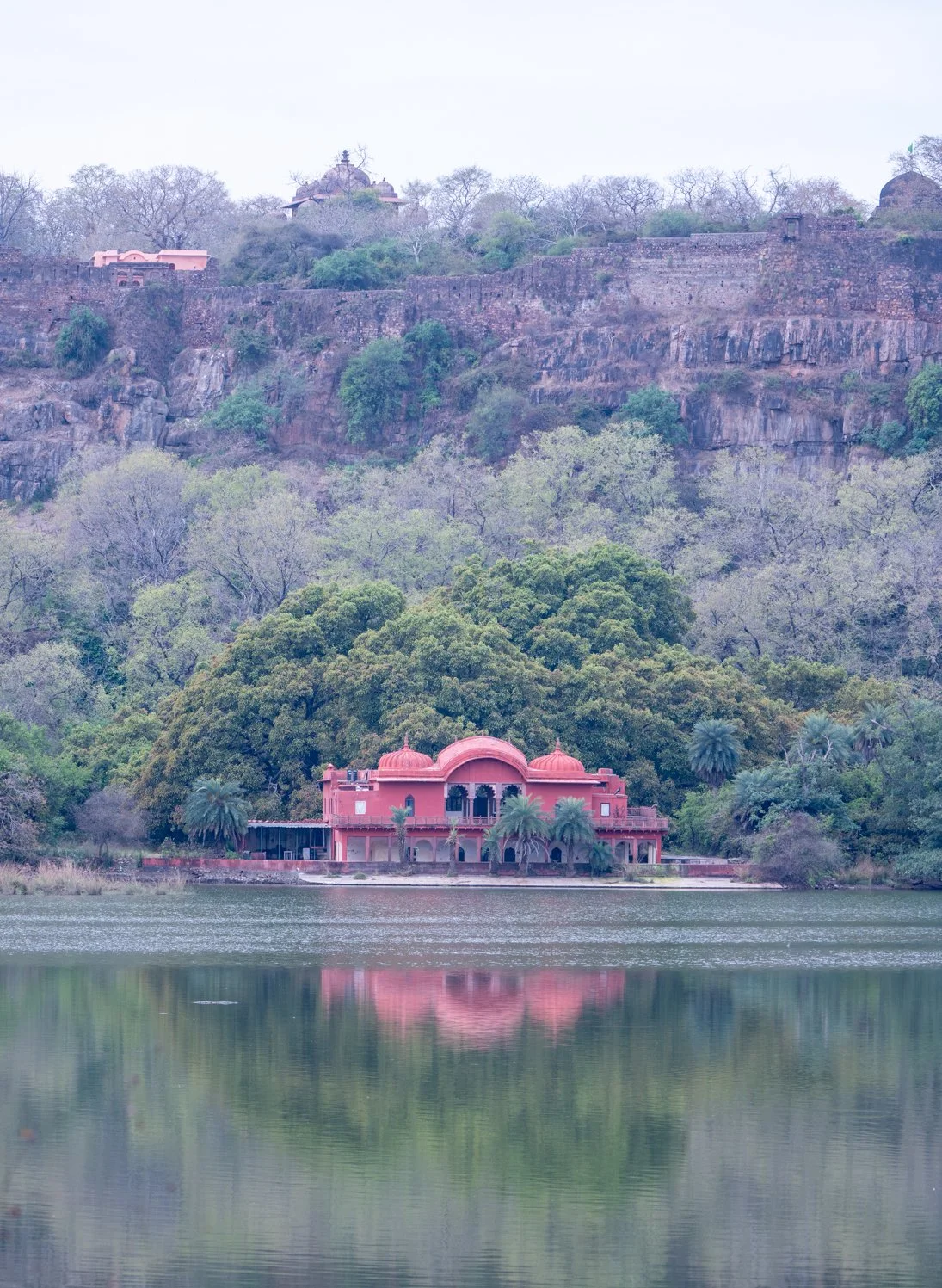 Meredith  (184 of 206).jpg