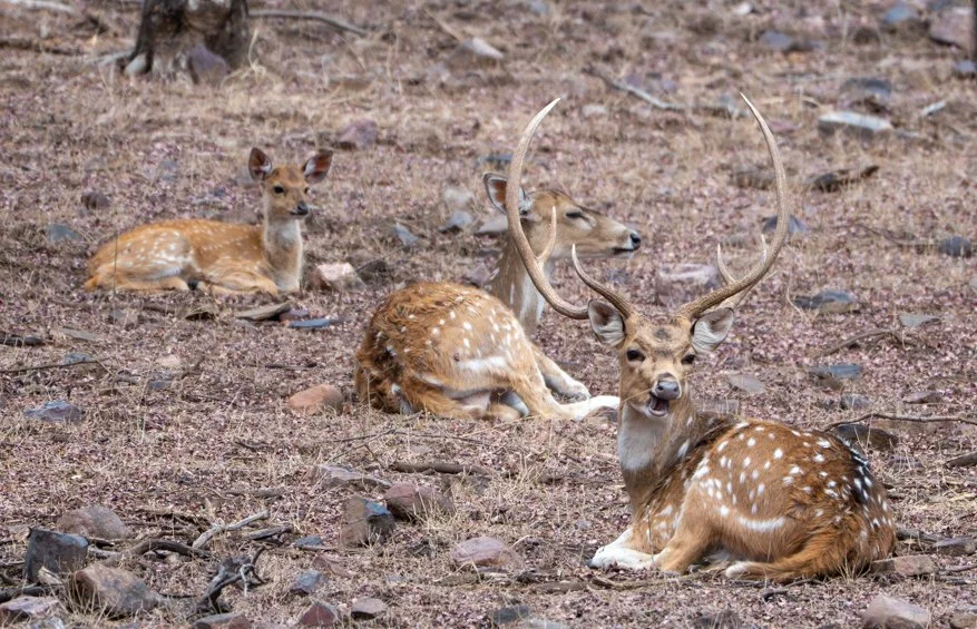 Meredith  (185 of 206).jpg