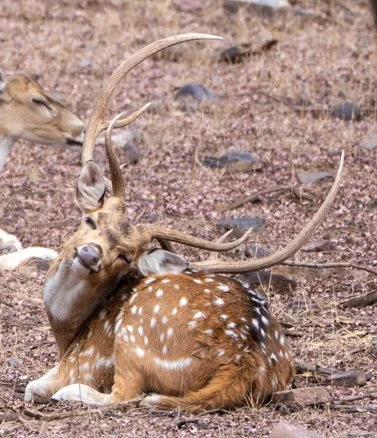 Meredith  (186 of 206).jpg