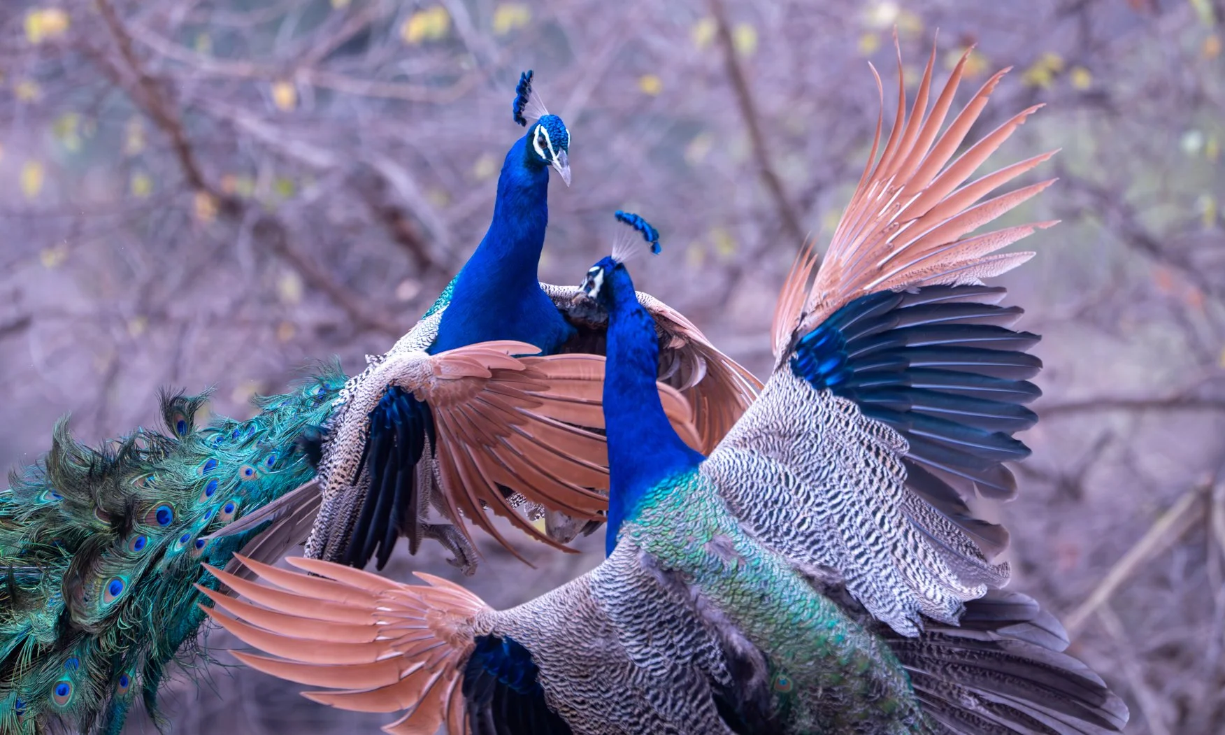 Meredith  (193 of 206).jpg