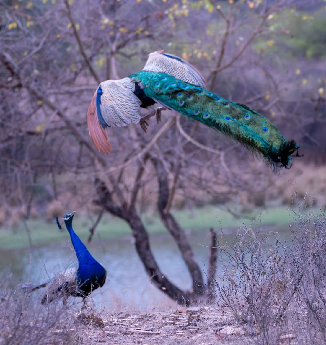 Meredith  (196 of 206).jpg