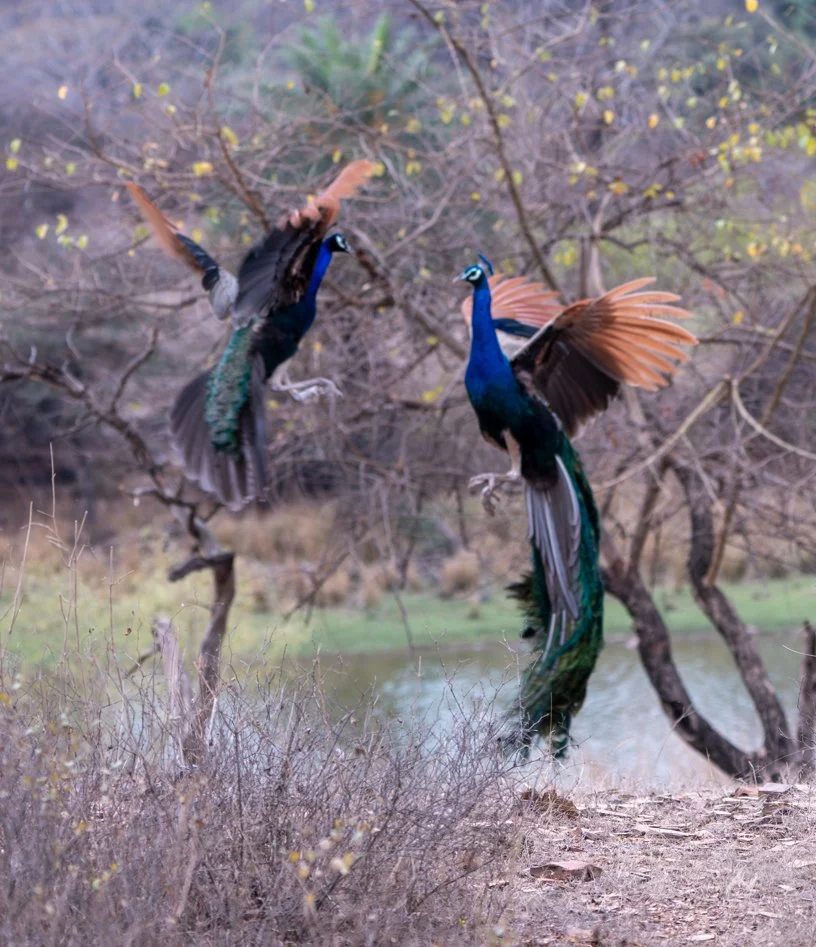 Meredith  (198 of 206).jpg