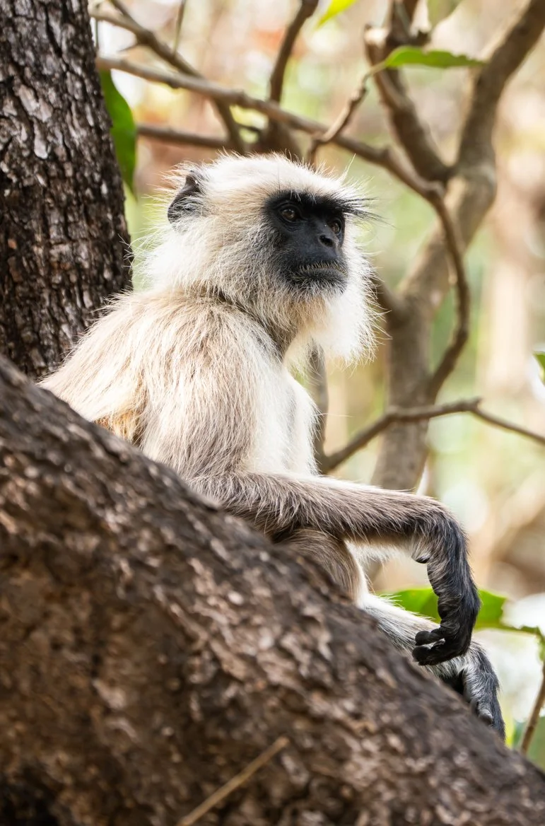 Meredith  (201 of 206).jpg