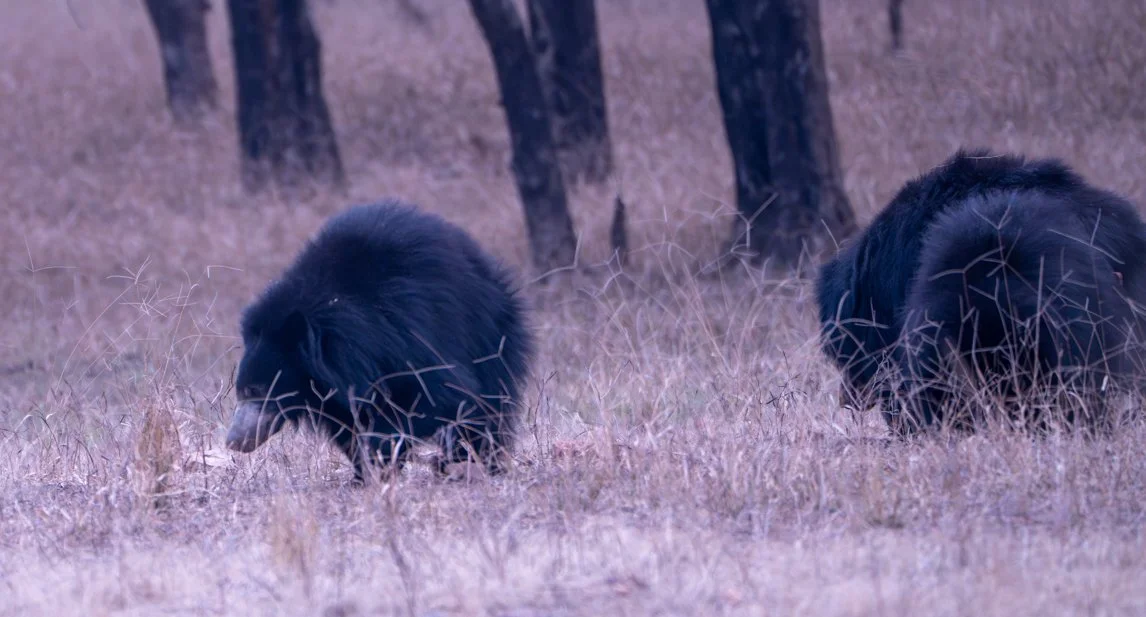 Meredith  (203 of 206).jpg