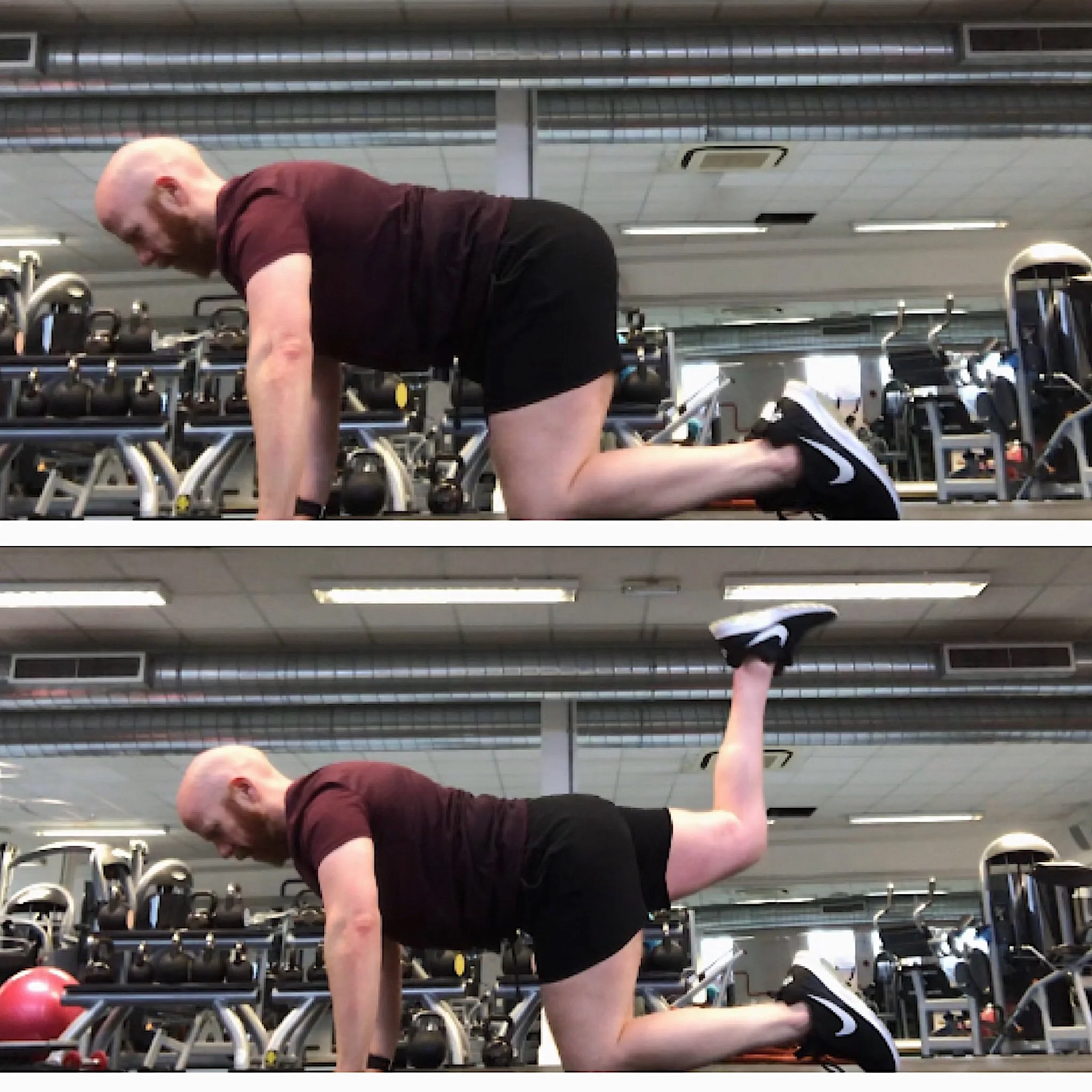 Quadruped+Hip+extension+Three+Pillars+of+Fitness.jpg