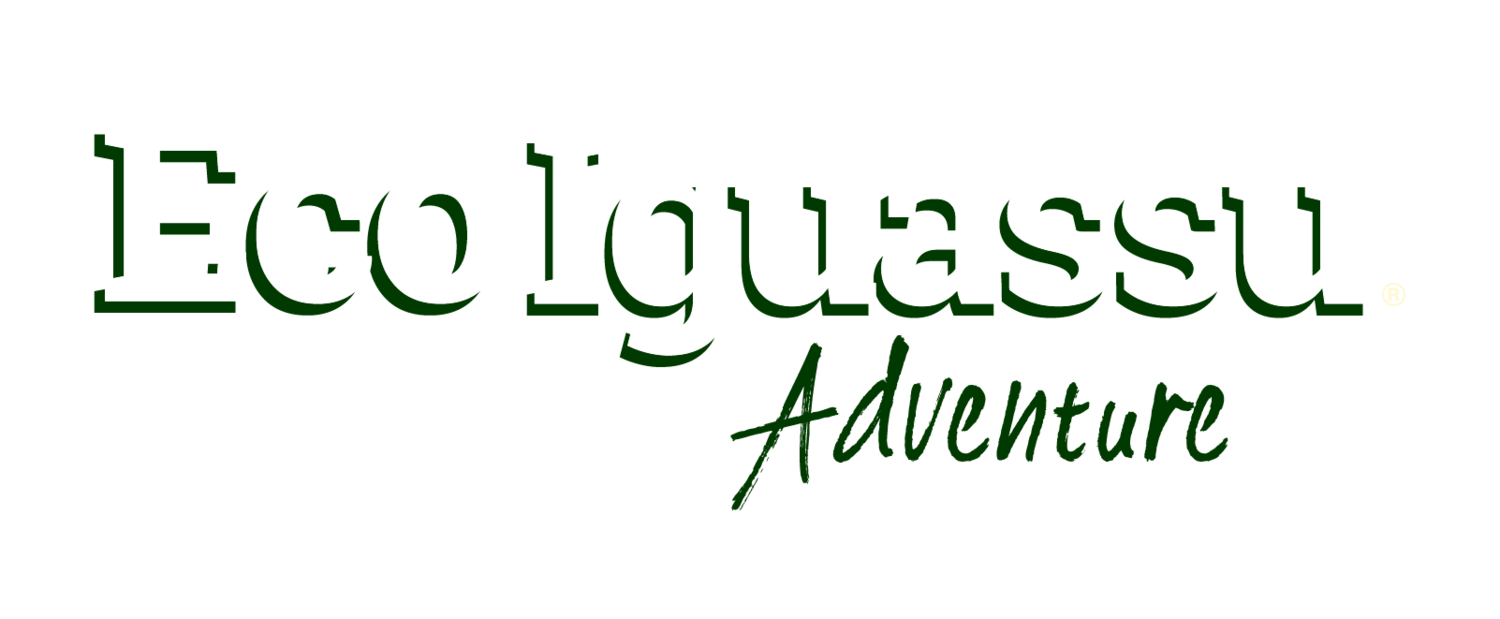 Eco Iguassu