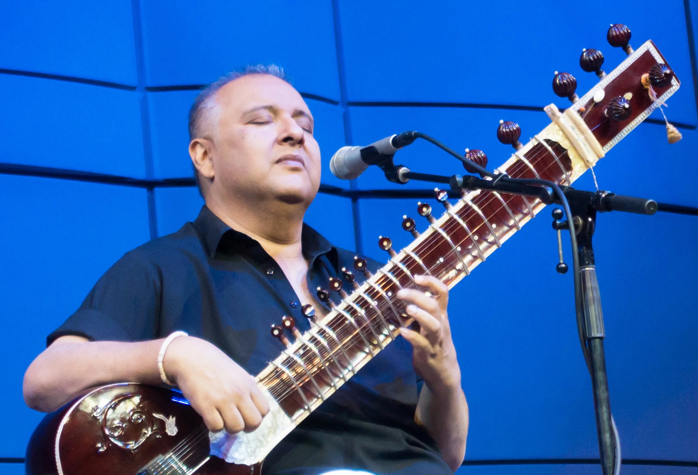 Ustad Shujaat Khan plays Ustad Malik Khan in A Suitable Boy.