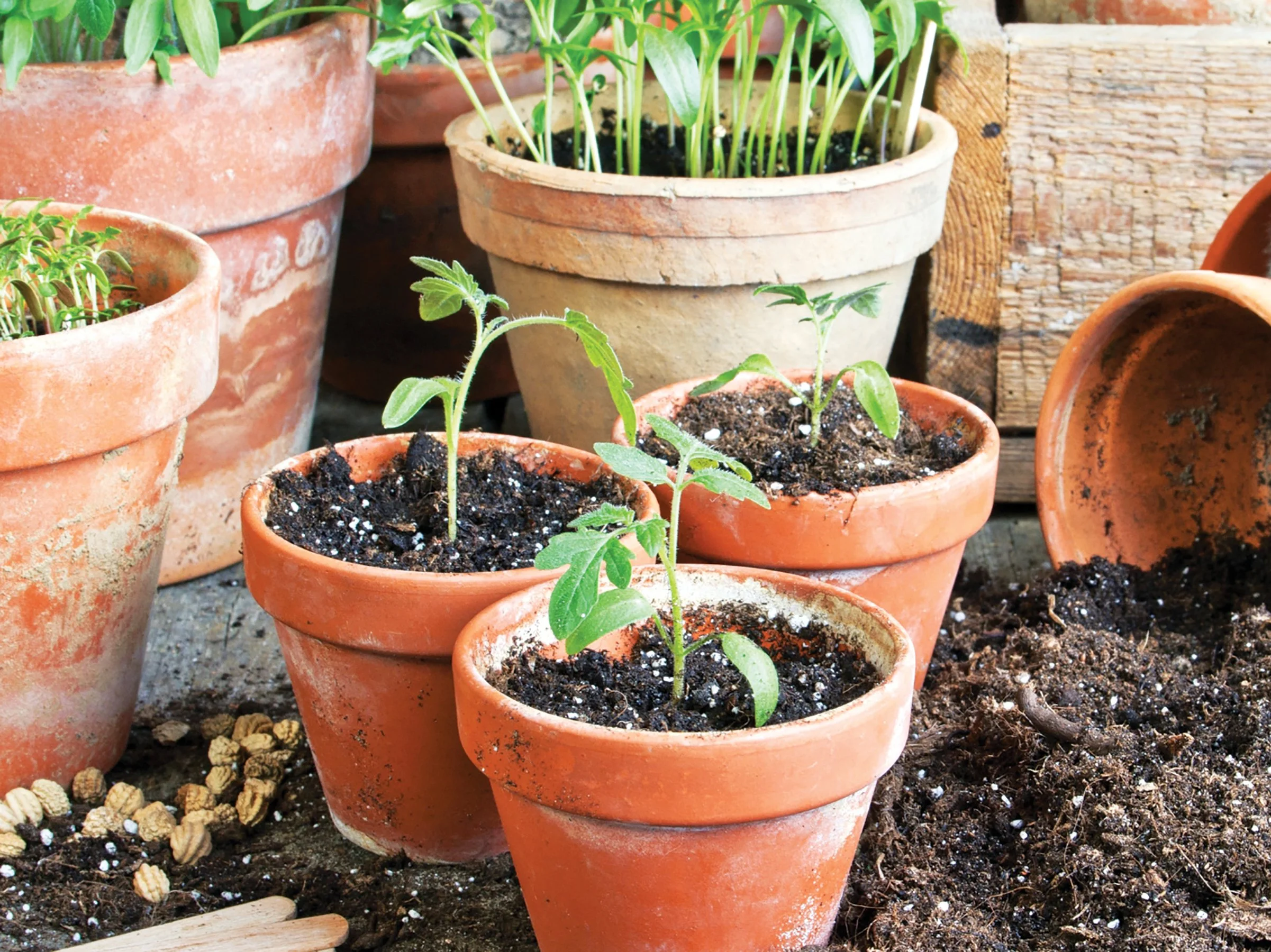GET GROWING!