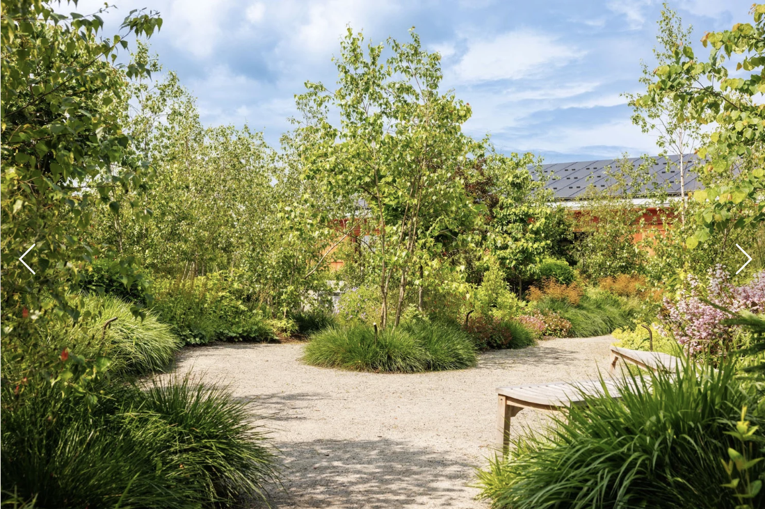 Screenshot 2026-01-27 at 10.17.58 AM.png