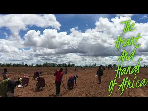 IPG Varieties in Africa (Copy)