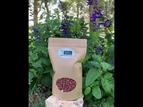 Flavor Samples (Copy)