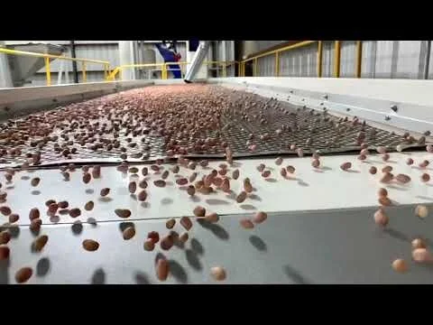 IPG 3628 Spanish (Copy)