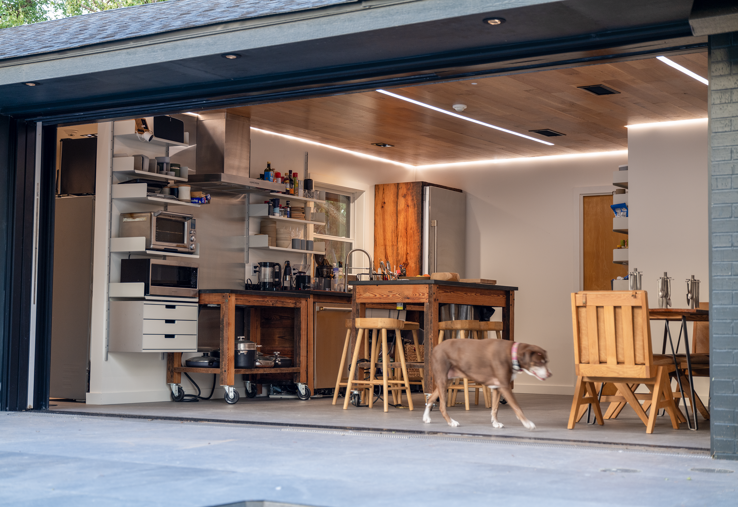 L1060641 copylossy.webp