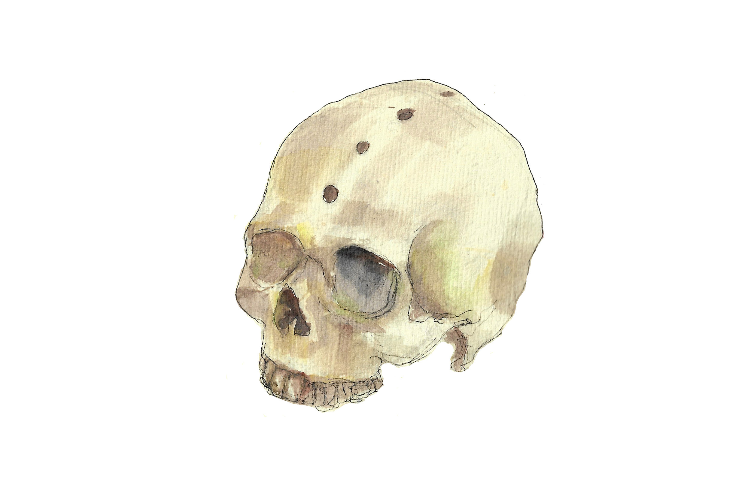 single skull.jpg