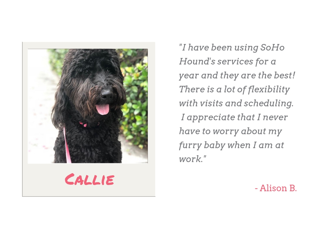 SoHo Hound Testimonials.jpg