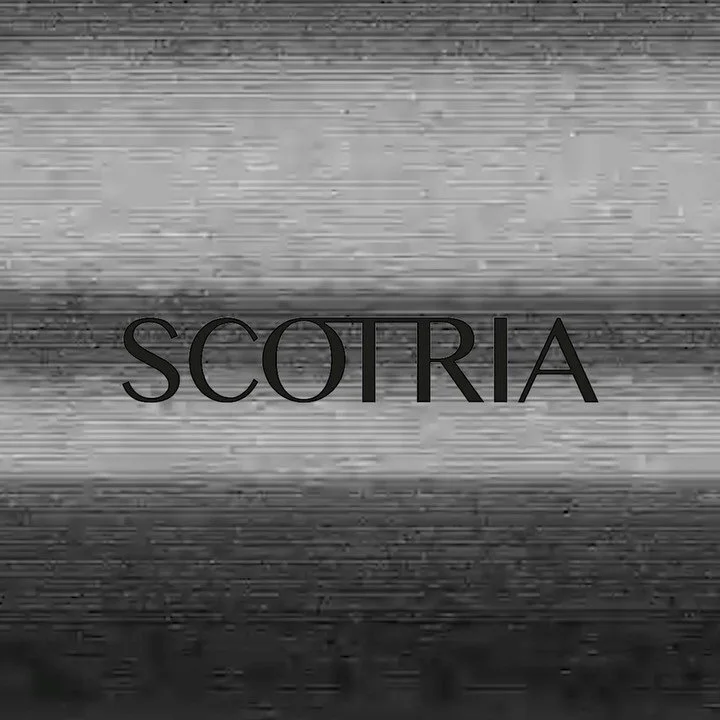 Slide 5