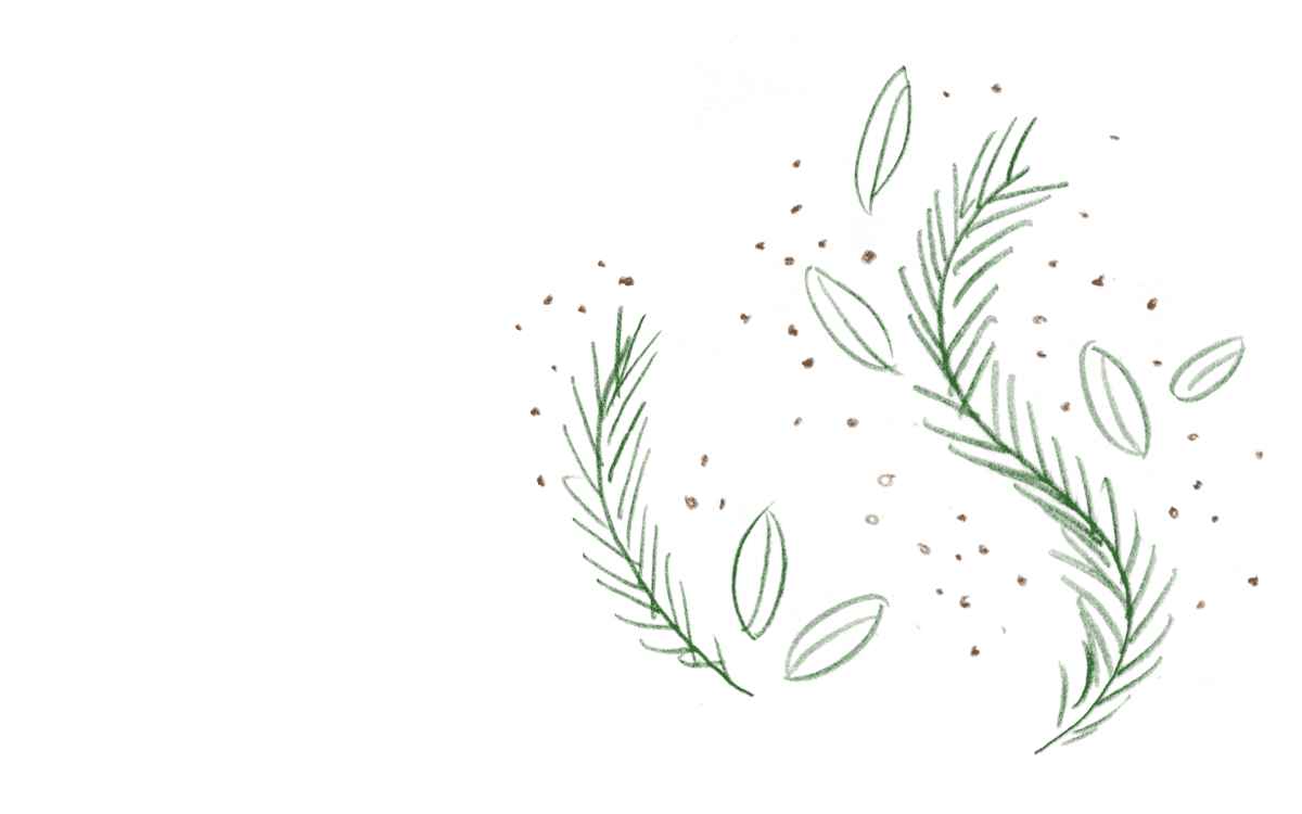Rosemary_1-v2.png