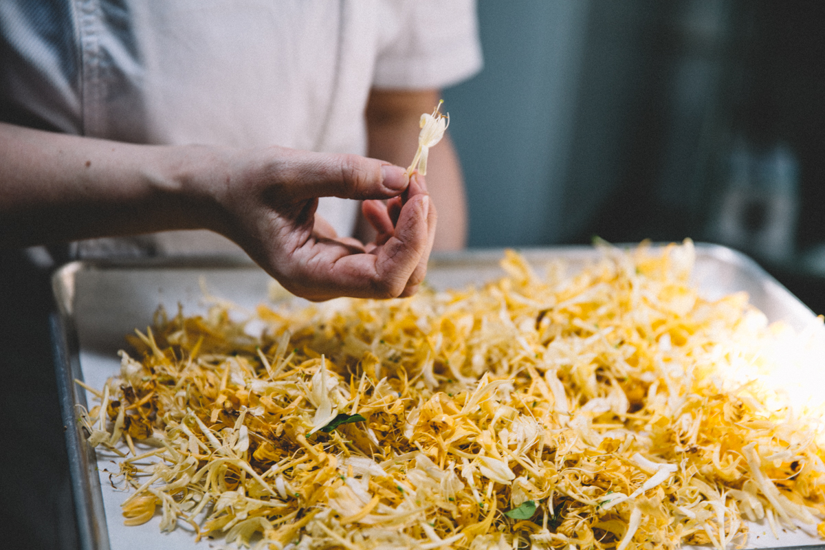 production-honeysuckle_handpicked.jpg