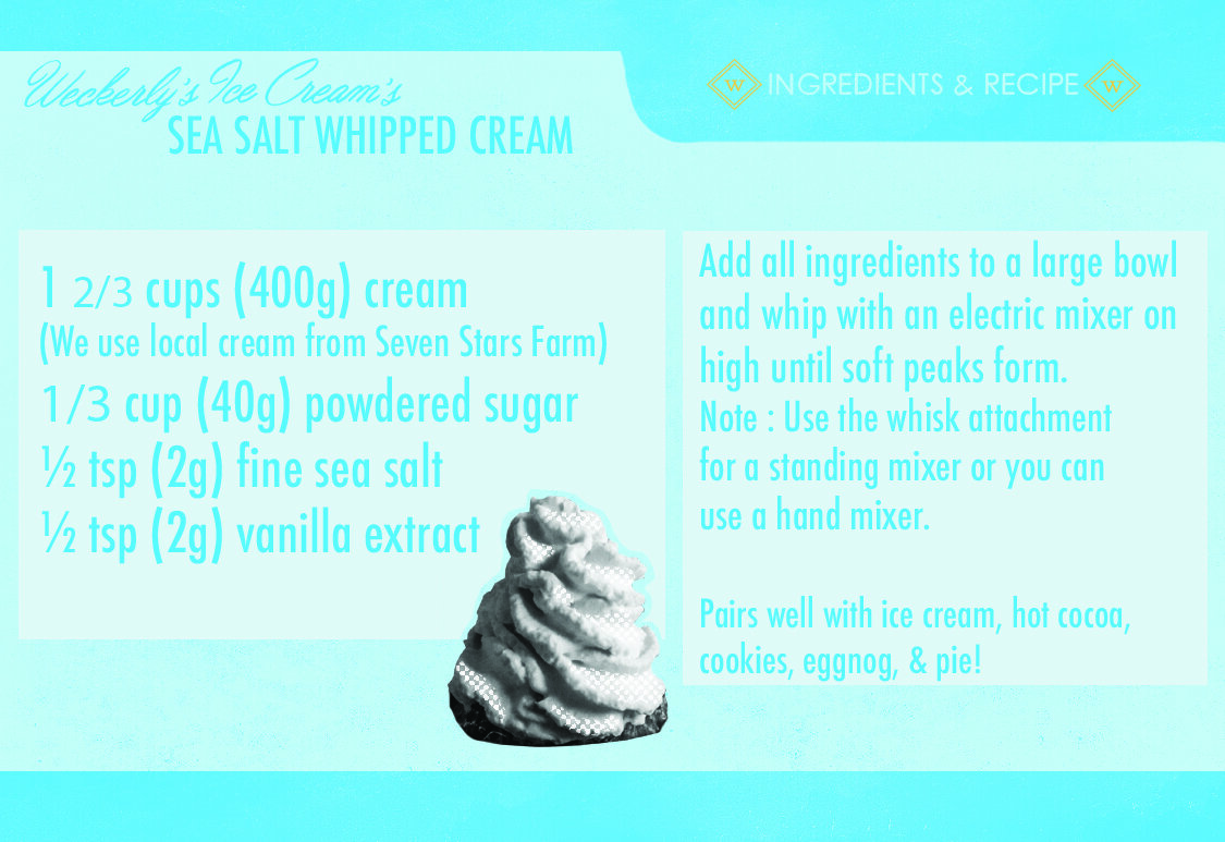 Homemade Whipped Cream Recipe - Salty Canary