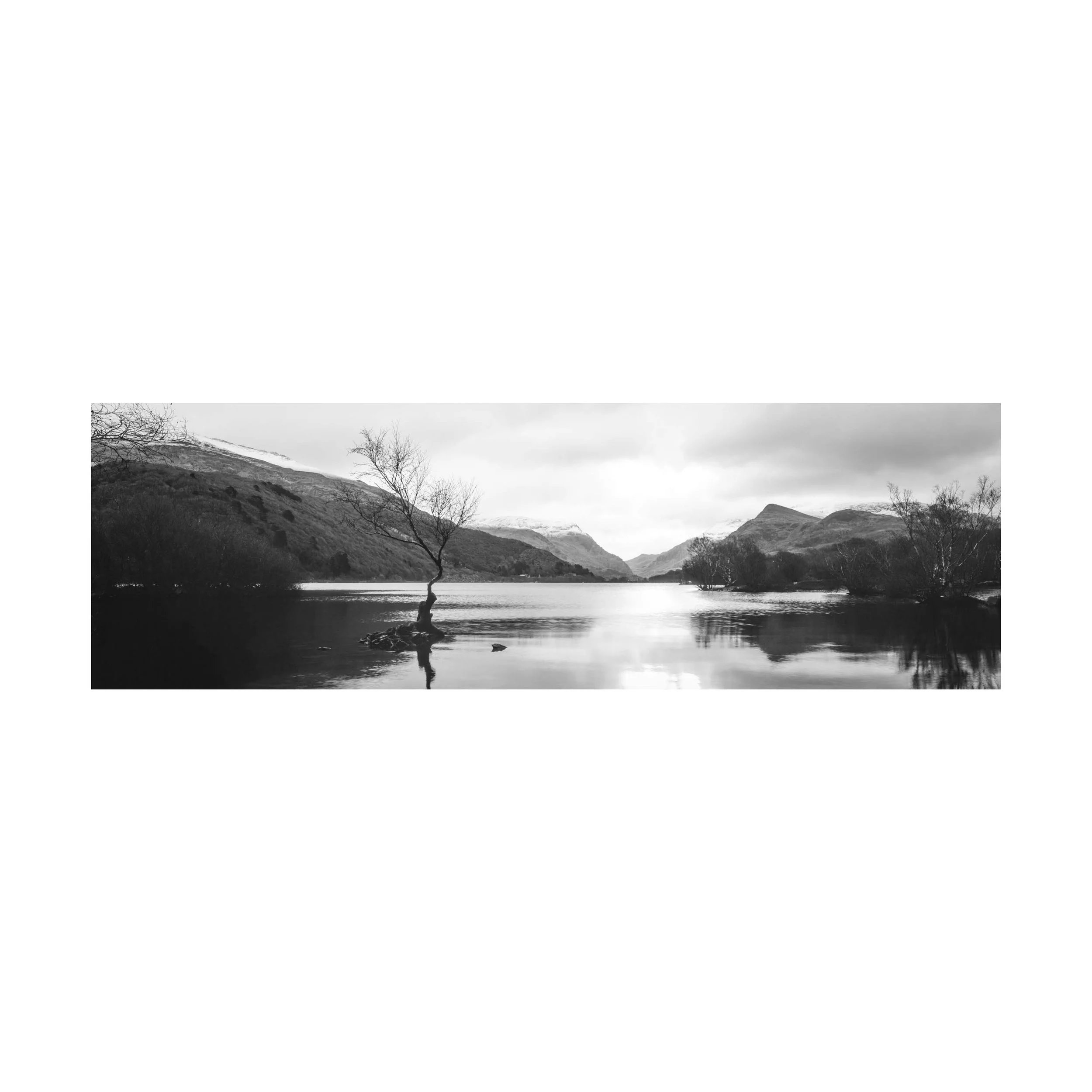 Robert Watson | fine art print | lone tree | llanberis.jpg