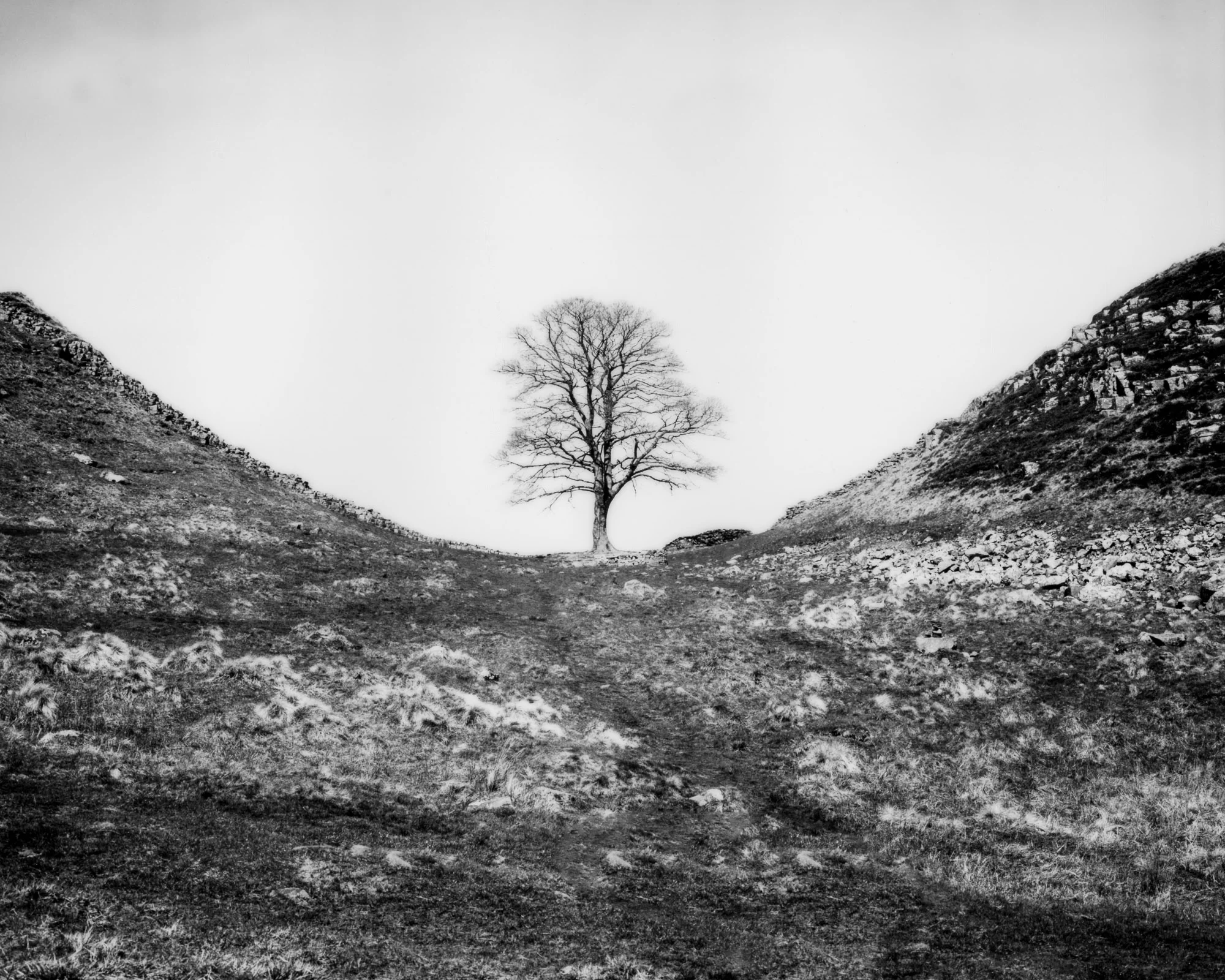 img621-Edit-Edit.jpg