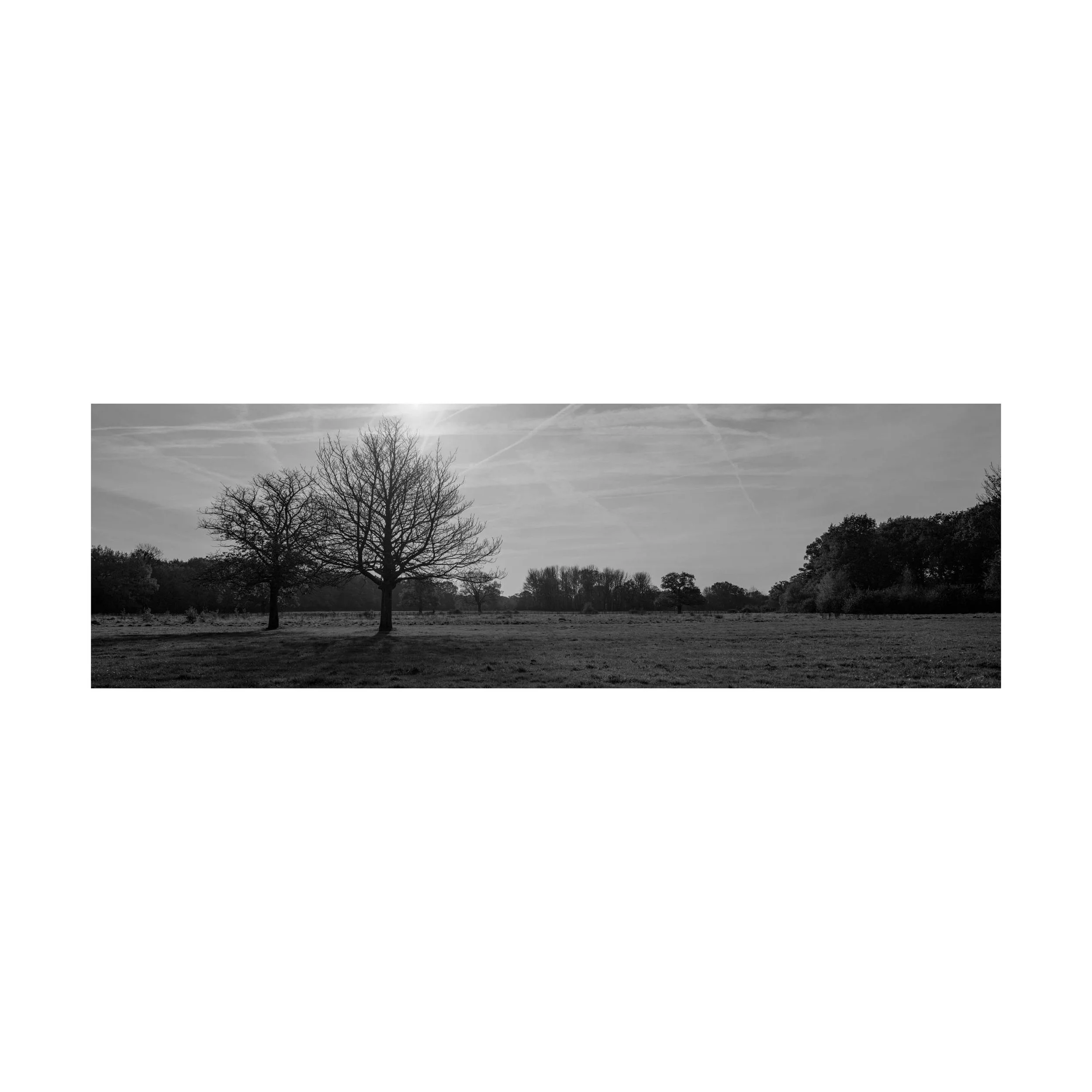 Wythenshawe Park 2