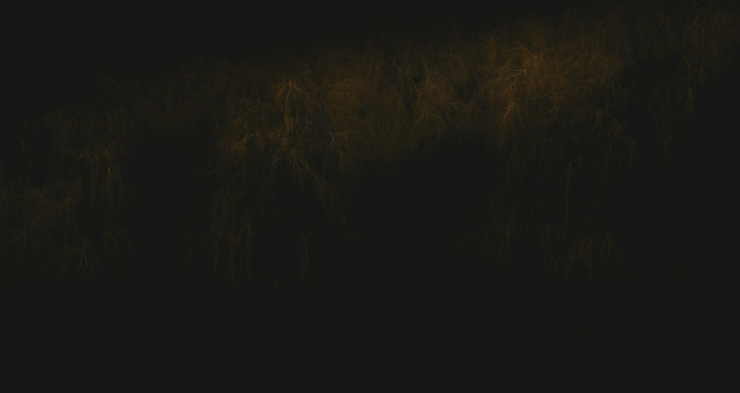 unsplash-image-2wACWpi2RBU.jpg