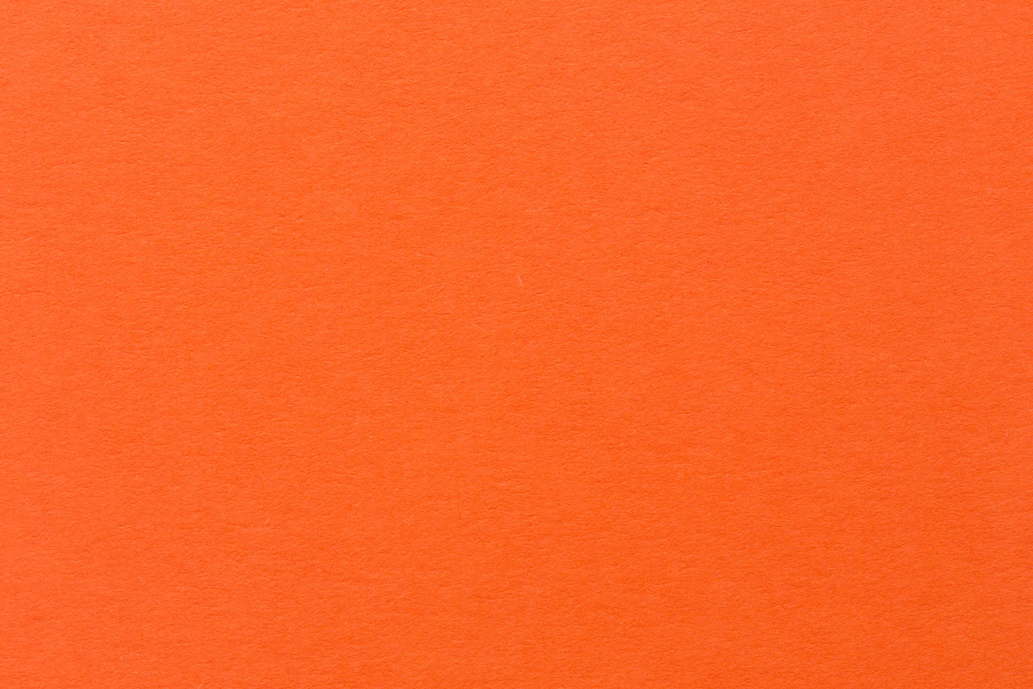 iStock-orange background- higher education legal consulting services.jpg