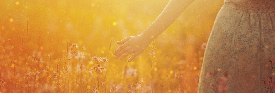 Ruth The Story of Redemption Web Banner.jpg