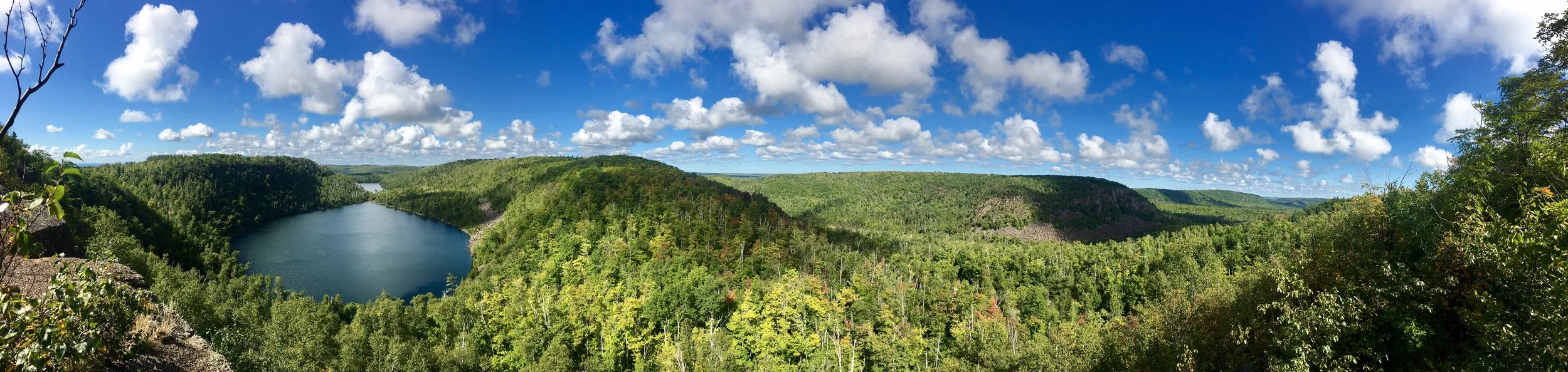 beanbearpano.jpeg