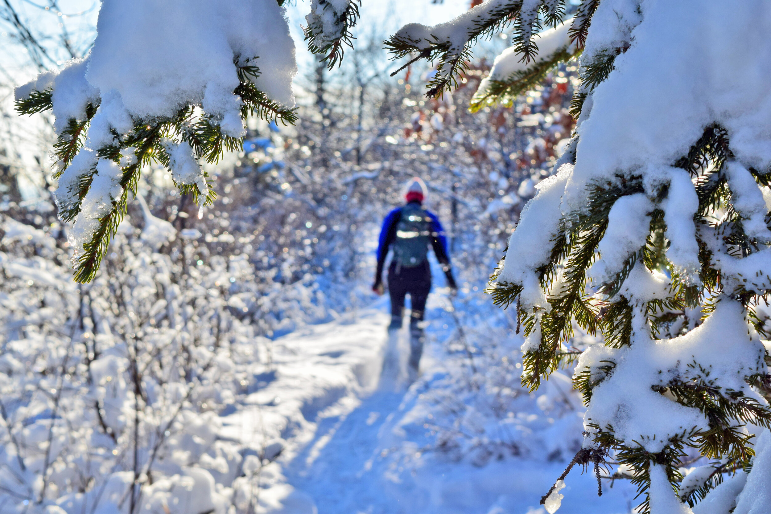 Snowshoeing in Duluth